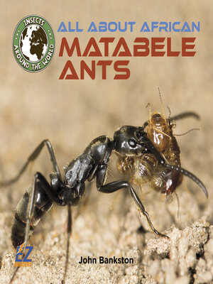 cover image of All About African Matabele Ants